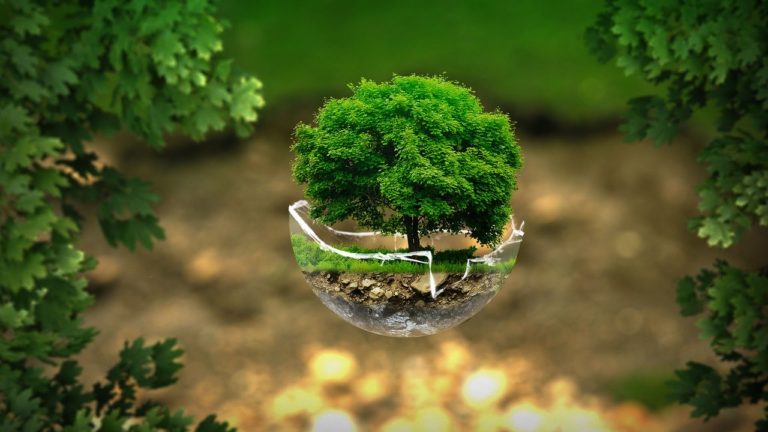 How your business can help create a more sustainable exhibition and events industry  
